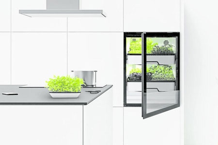 Miele и Agrilution: свежая зелень растёт в холодильнике