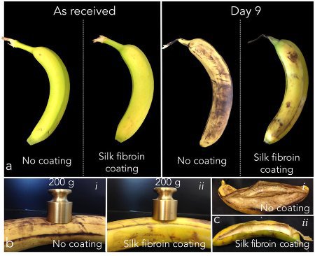 Ученые нашли способ хранить фрукты свежими без холодильника