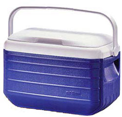 - Thermos Personals Coolers 28